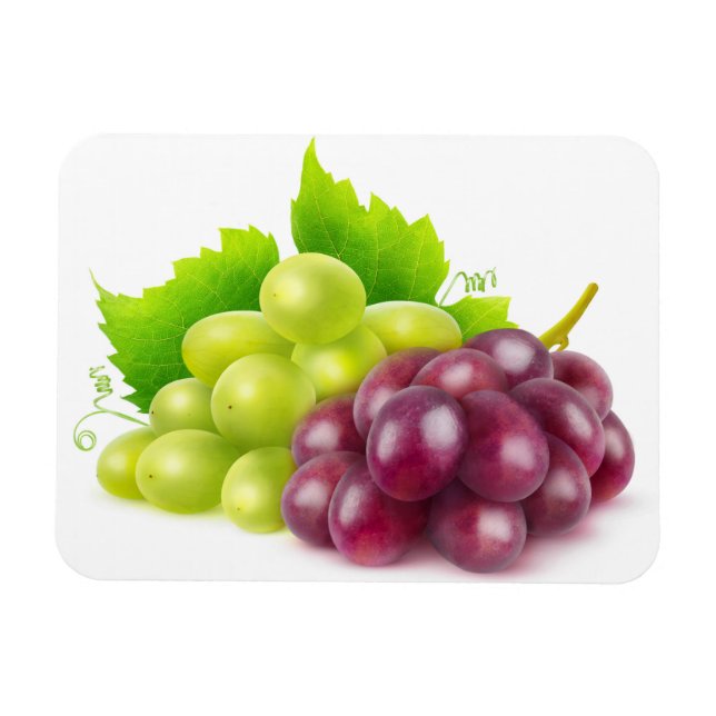 Magnet Flexible Raisins (Horizontal)
