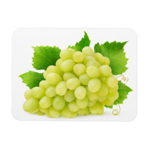 Magnet Flexible raisins blancs