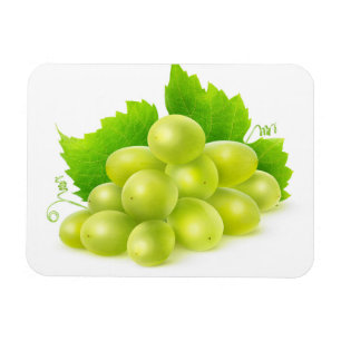 Magnet Flexible raisins blancs