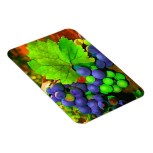 Magnet Flexible Raisins de récolte