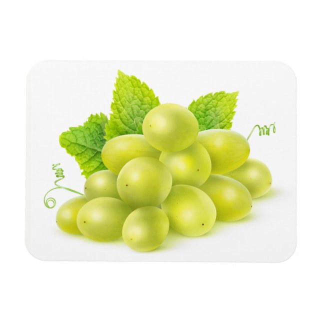 Magnet Flexible Raisins et menthe (Horizontal)