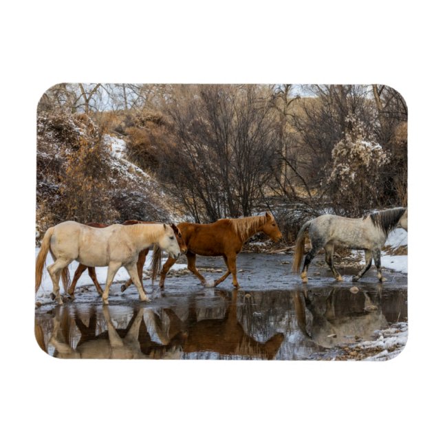 Magnet Flexible  Ranch du cheval Hideout (Horizontal)