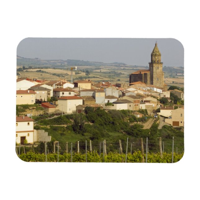 Magnet Flexible Rangées de vignes au premier plan cadre le (Horizontal)