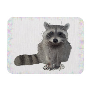 Magnet Flexible Raton laveur