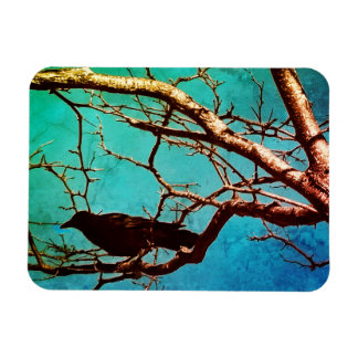Magnet Flexible Raven Crow Black Bird Silver Tree Photo