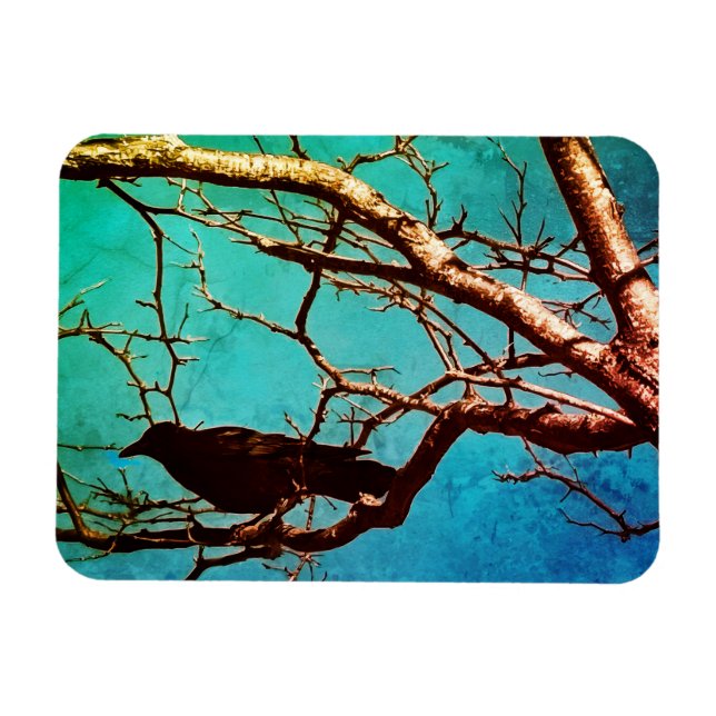 Magnet Flexible Raven Crow Black Bird Silver Tree Photo (Horizontal)