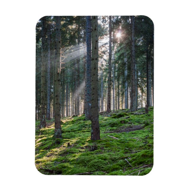Magnet Flexible Rayons de soleil dans la Forêt-Noire (Vertical)