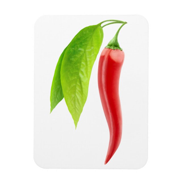 Magnet Flexible Red hot chili pepper (Vertical)