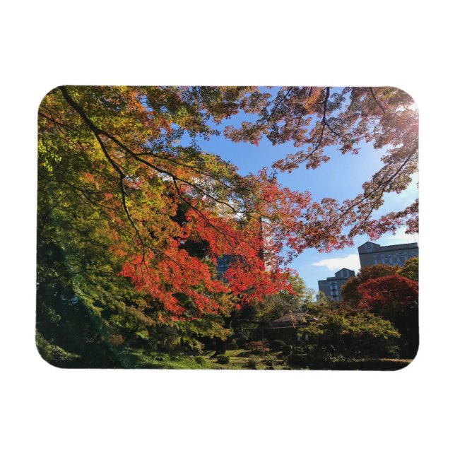 Magnet Flexible Red Maples au Jardin Japonais (Horizontal)