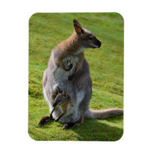 Magnet Flexible Red-necked wallaby and its joey