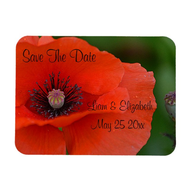Magnet Flexible Red Poppy Formal Enregistrer La Date (Horizontal)