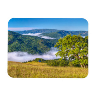 Magnet Flexible Redwood National Park, Californie