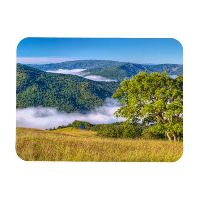 Magnet Flexible Redwood National Park, Californie (Horizontal)