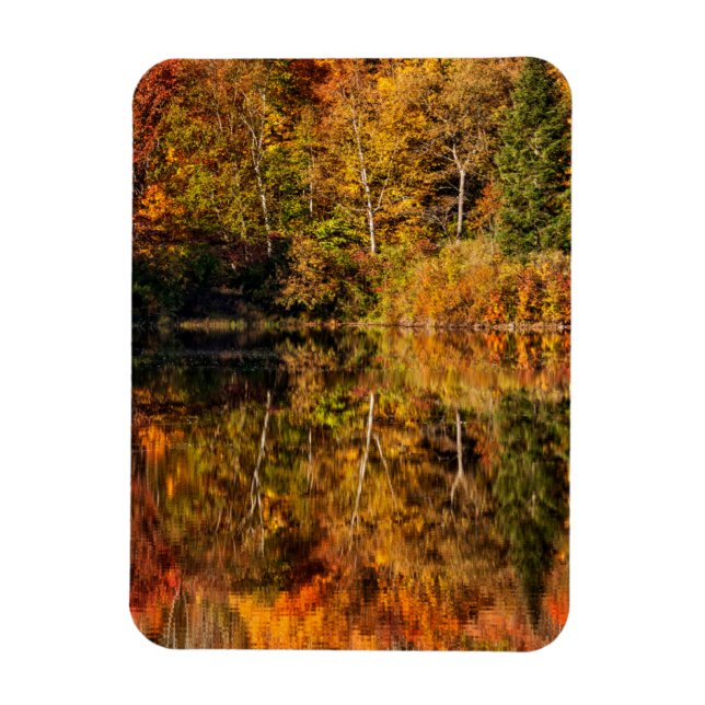 Magnet Flexible Reflet d'automne sur Coffin Pond (Vertical)