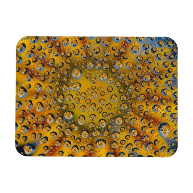 Magnet Flexible Reflet de goutte de rosée sur une fleur, Crescent  (Horizontal)