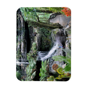 Magnet Flexible RÉFLEXIONS de forêt tropicale    d'Australien