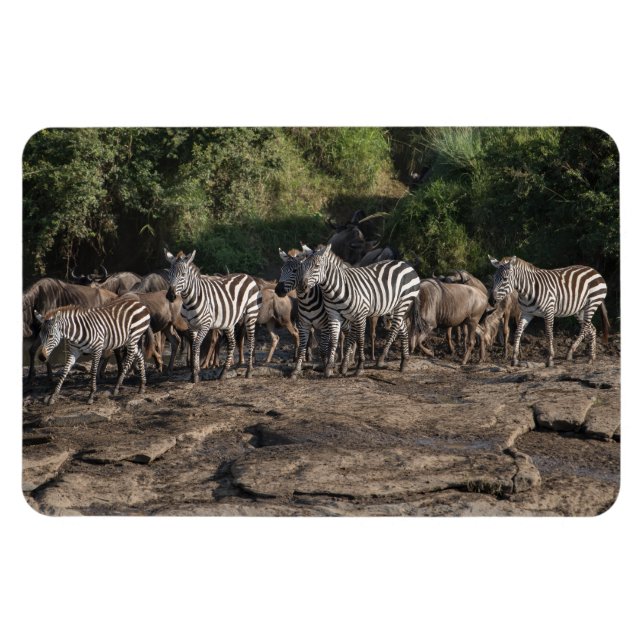 Magnet Flexible Réfrigérateur Aimant VOTRE Modèle photo 4 x 6 (Horizontal)