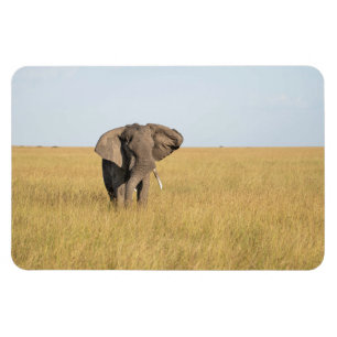 Magnet Flexible Réfrigérateur Aimant VOTRE Modèle photo 4 x 6