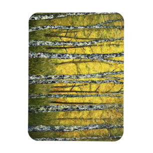 Magnet Flexible Réfrigérateur - Forêt Acadienne des bouleaux