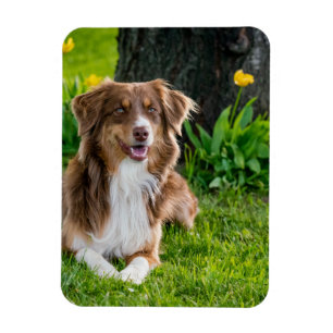 Magnet Flexible Réfrigérateur photo personnalisé