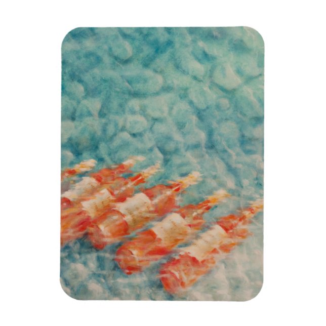 Magnet Flexible Refroidissement des vins 2010 (Vertical)