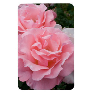 Magnet Flexible Remplacer Rose Photo Vertical Faire Personnalisé