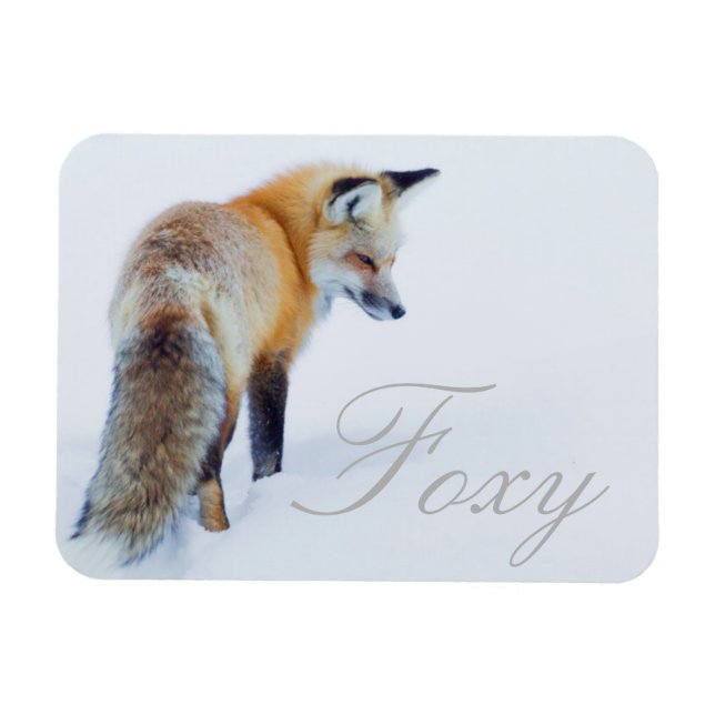 Magnet Flexible Renard roux en hiver (Horizontal)
