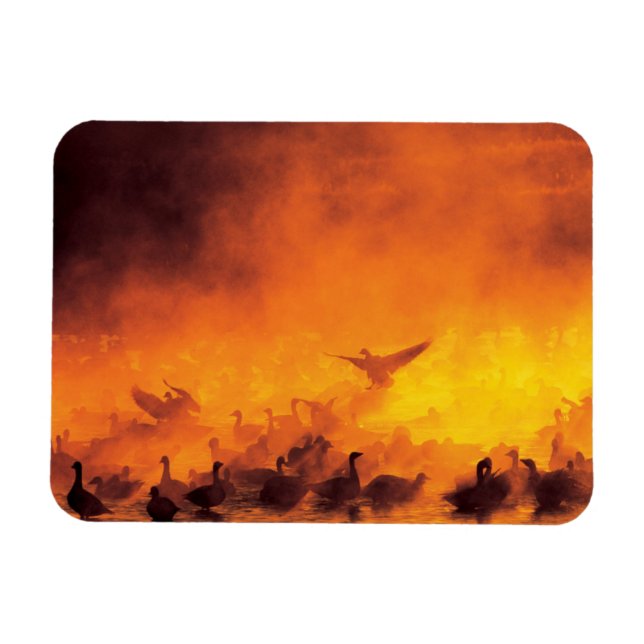 Magnet Flexible Réserve nationale de faune Bosque del Apache, NM (Horizontal)