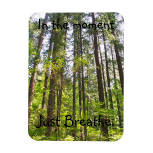 Magnet Flexible Respirez juste l'aimant d'arbre