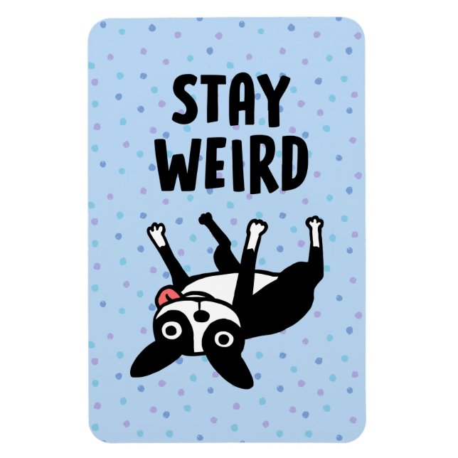 Magnet Flexible Restez bizarre Funky Boston Terrier Dog (Vertical)