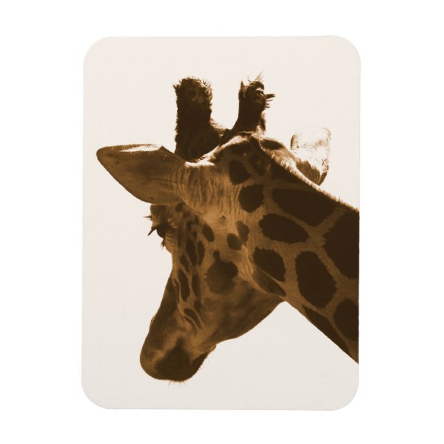 Magnet Flexible Reticuler profil Giraffe (Vertical)