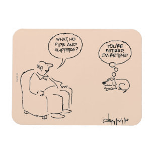 Magnet Flexible Retiré