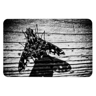 Magnet Flexible revenir en volant
