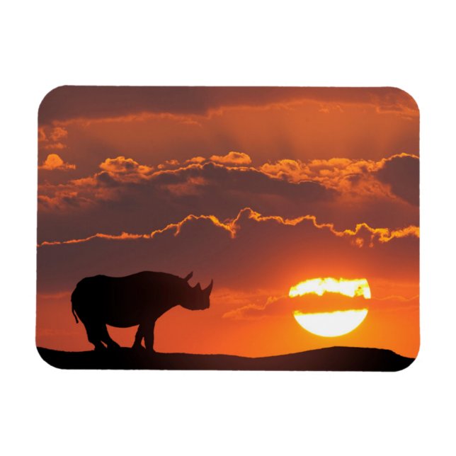 Magnet Flexible Rhino au coucher du soleil, Masai Mara, Kenya (Horizontal)