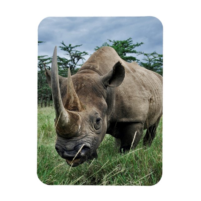 Magnet Flexible Rhinocéros noir | Kenya (Vertical)