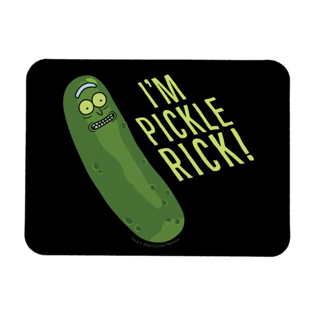 Magnet Flexible RICK ET MORTY™ | Retourner La Touche (Horizontal)