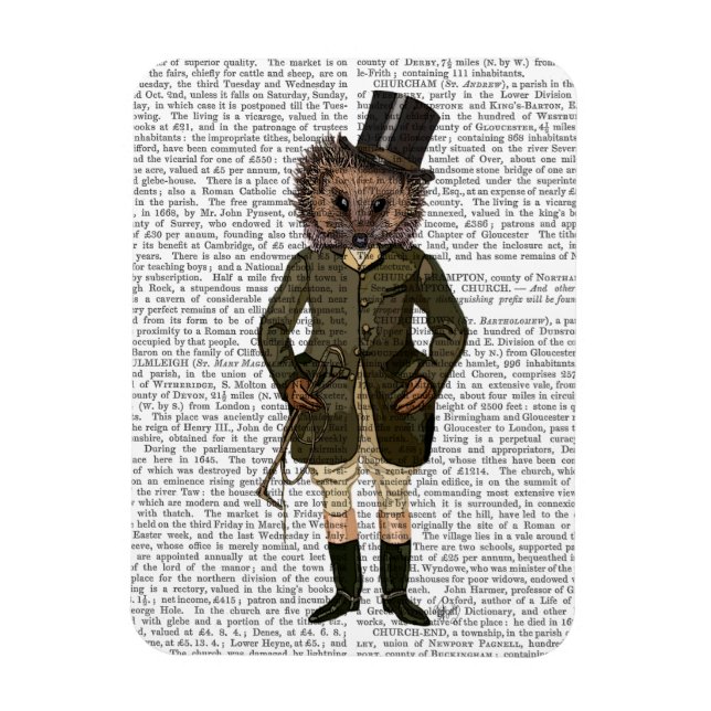 Magnet Flexible Rider de Hérisson complet (Vertical)