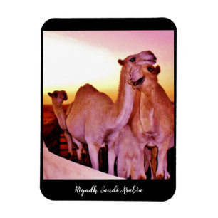 Magnet Flexible Riyad, Arabie saoudite
