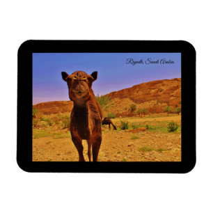 Magnet Flexible Riyad, Arabie Saoudite