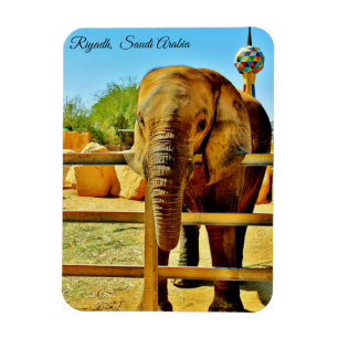 Magnet Flexible Riyad, Arabie Saoudite