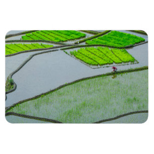 Magnet Flexible Rizières de Luzon