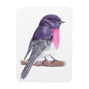 Magnet Flexible Robin