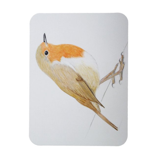 Magnet Flexible Robin 2011 (Vertical)