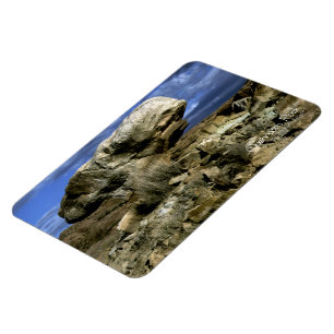 Magnet Flexible Roche de champignons