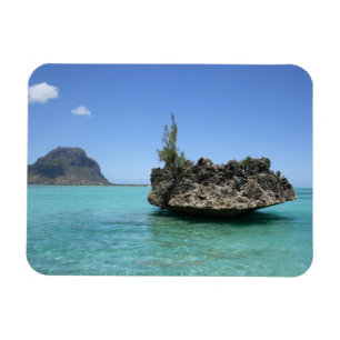 Magnet Flexible Roche en cristal composée de corail