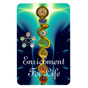 MAGNET FLEXIBLE RODE D'ASCLEPIUS 7 CHAKRAS, YOGA, ÉNERGIE SPIRITUE