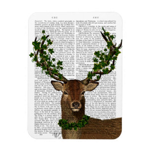 Magnet Flexible Roi vert