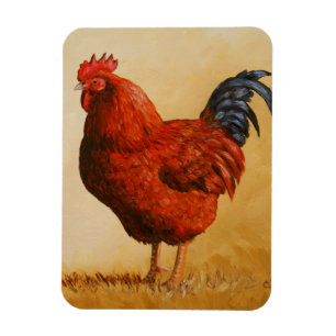 Magnet Flexible Rooster chicken de Rhode Island