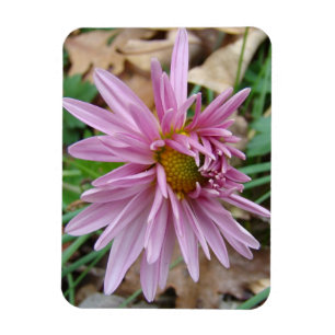 Magnet Flexible rose