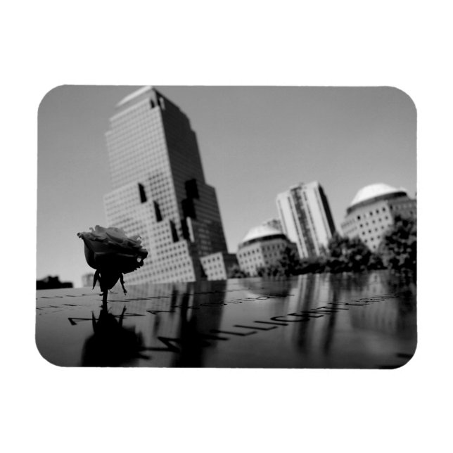 Magnet Flexible Rose blanche du souvenir (Horizontal)